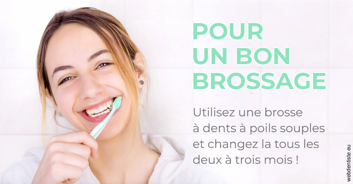 https://www.orthodontistenice.com/Pour un bon brossage 2