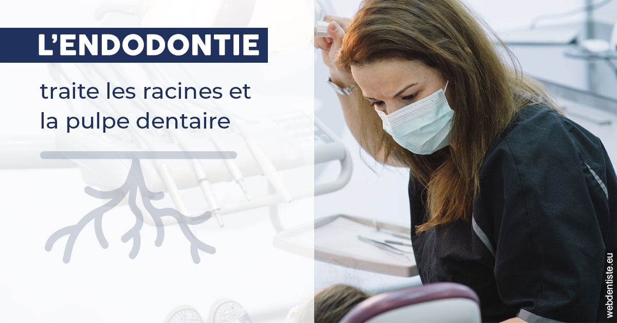 https://www.orthodontistenice.com/L'endodontie 1