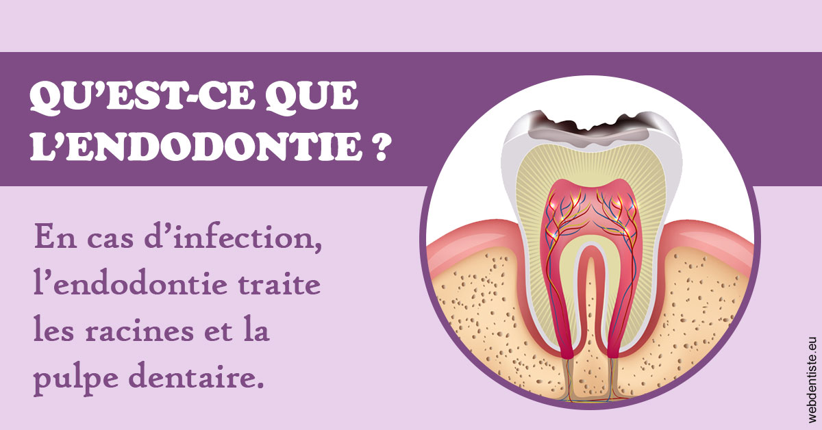 https://www.orthodontistenice.com/2024 T1 - Endodontie 02