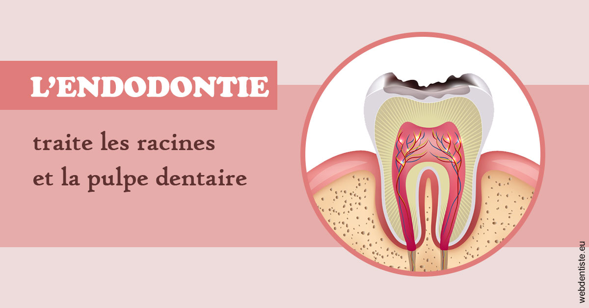 https://www.orthodontistenice.com/L'endodontie 2