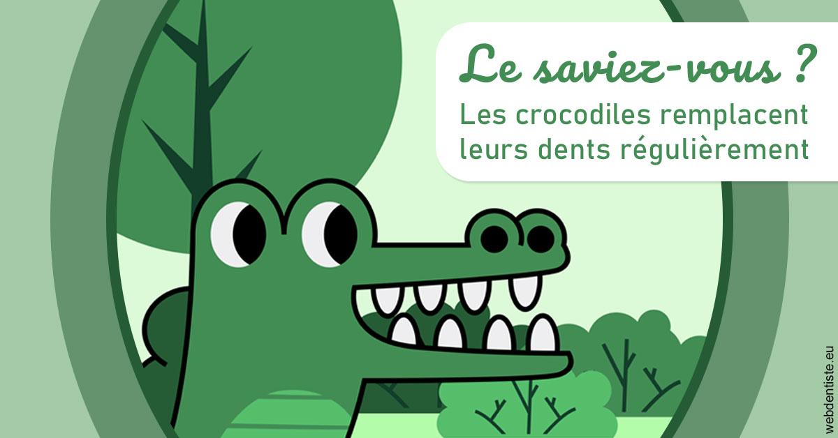 https://www.orthodontistenice.com/Crocodiles 2