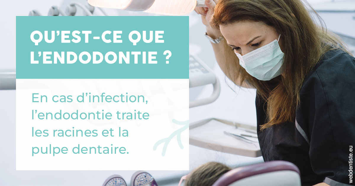 https://www.orthodontistenice.com/2024 T1 - Endodontie 01