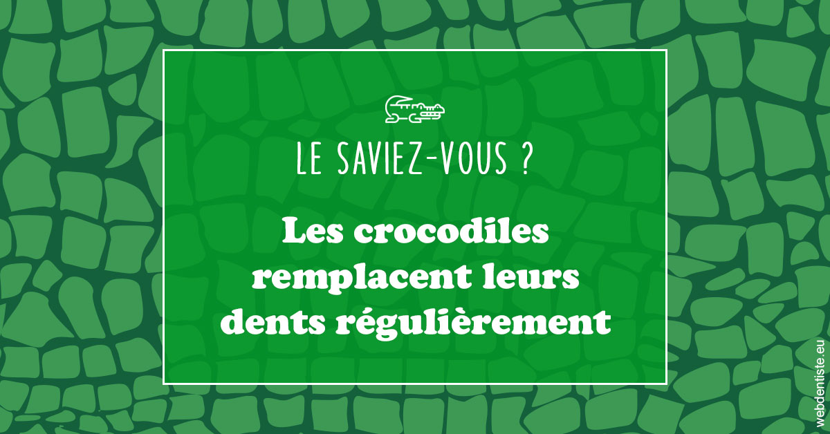 https://www.orthodontistenice.com/Crocodiles 1